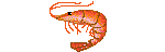 shrimp